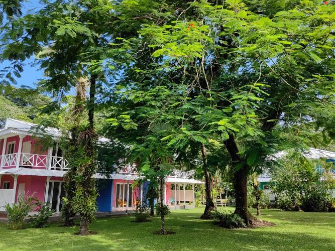 Tortuga Lodge & Gardens By Boeena Tortuguero Oda fotoğraf
