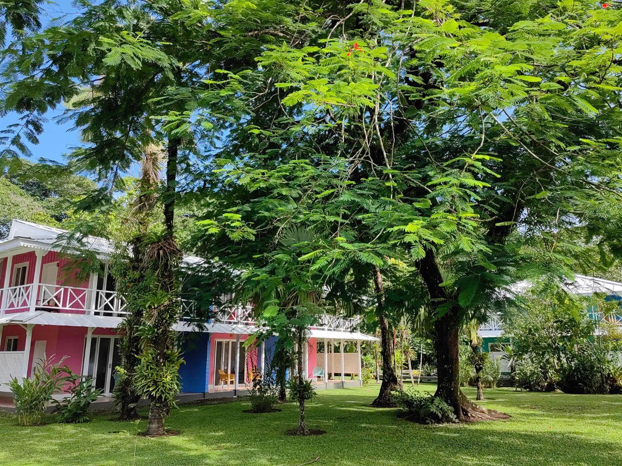 Tortuga Lodge & Gardens By Boeena Tortuguero Dış mekan fotoğraf